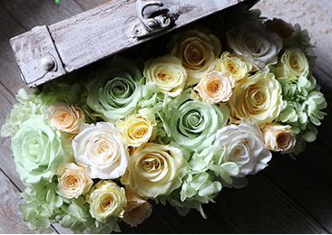 プリザーブドフラワー/スタイルウォール