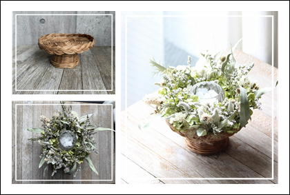 dryflower