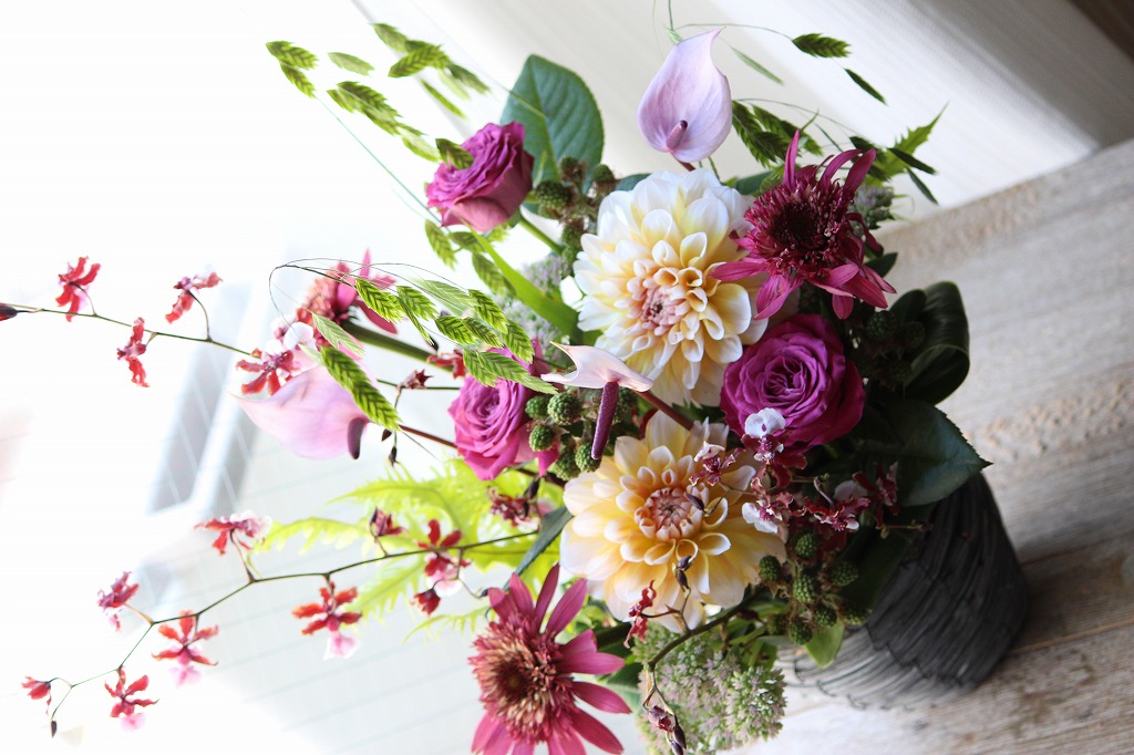 autumnflower